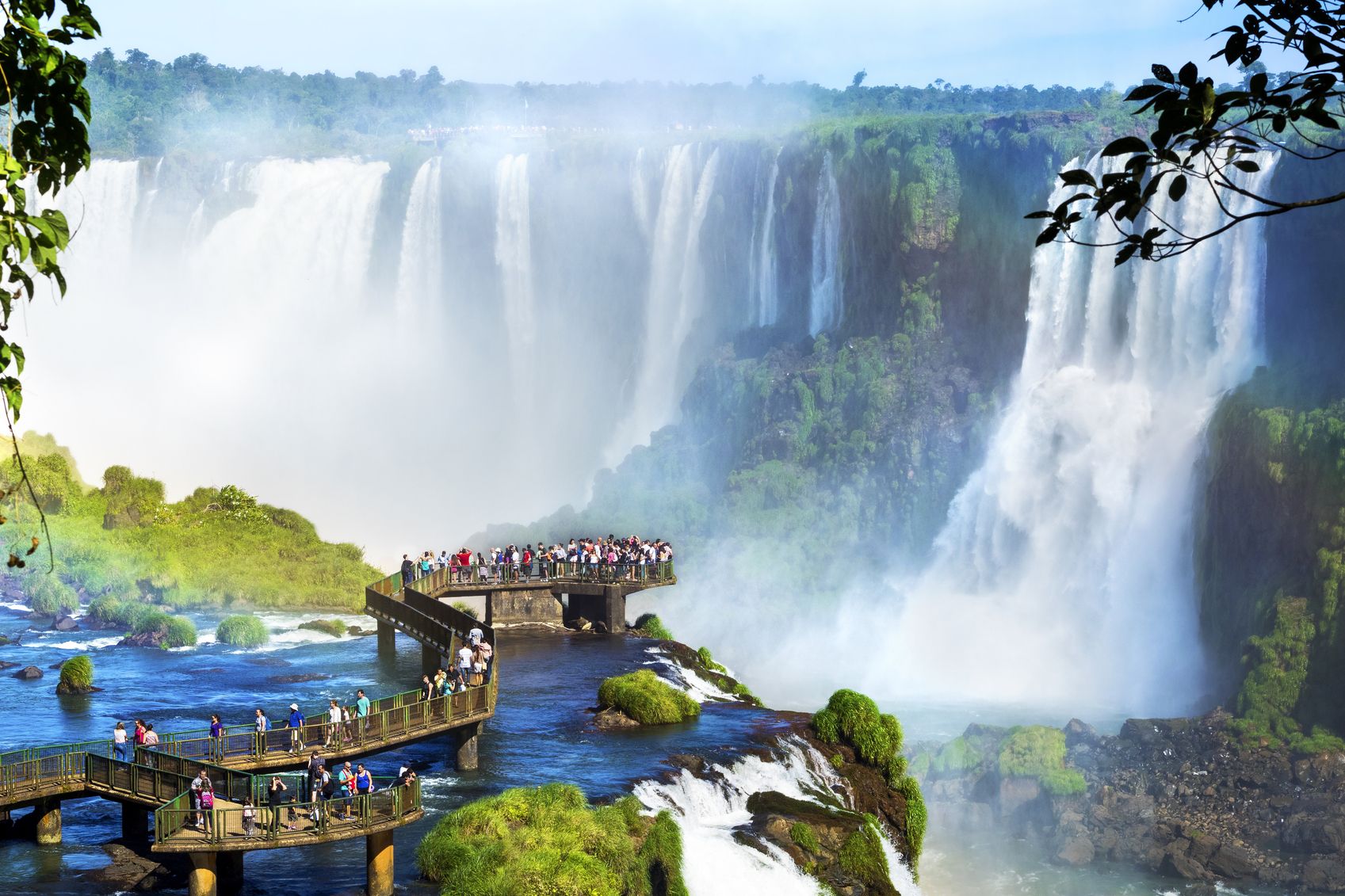 Argentine