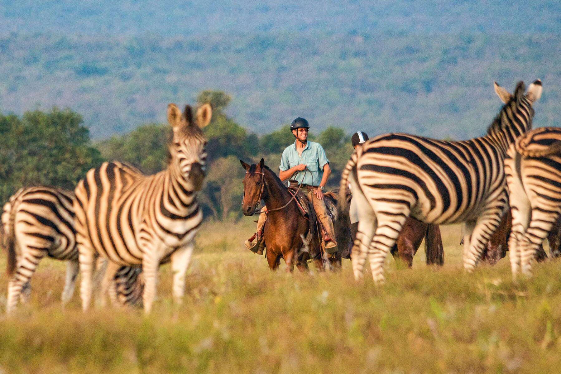 Afrique du Sud