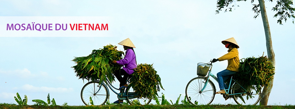 Vietnam découverte 