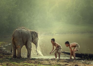 Les enfants