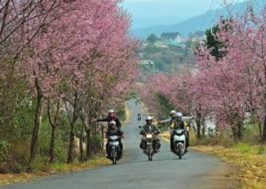 la ville de Da Lat - Lam Dong