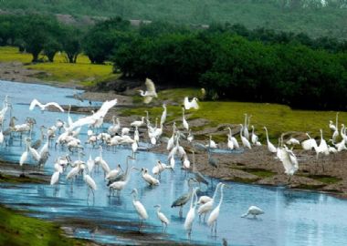 Nam Dinh, un site de visiter au Nord Vietnam