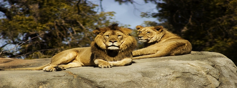 Aventure en famille au pays arc-en-ciel 10