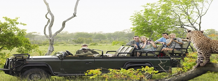 Cape Town, Kruger et mers turquoises du Mozambique 7