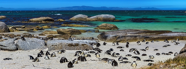 En famille: Route des jardins et safaris 3