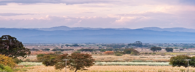En famille: Route des jardins et safaris 6