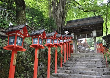 JAPON DÉCOUVERTE