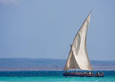 L'Afrique du Sud Le Cap, safari et plage