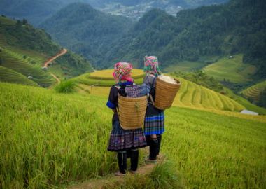 Voyage Sapa 3 jours 2 nuits quel prix?