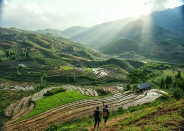 Sapa