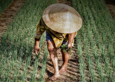 Trésors du Vietnam