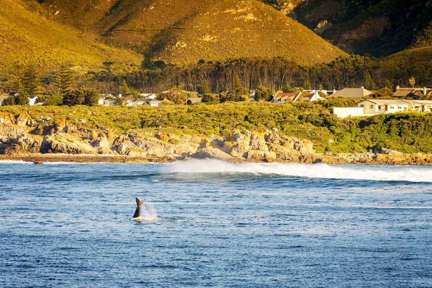 region hermanus