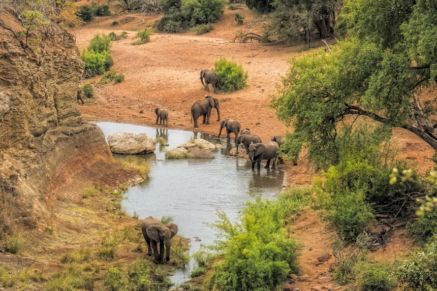 kruger