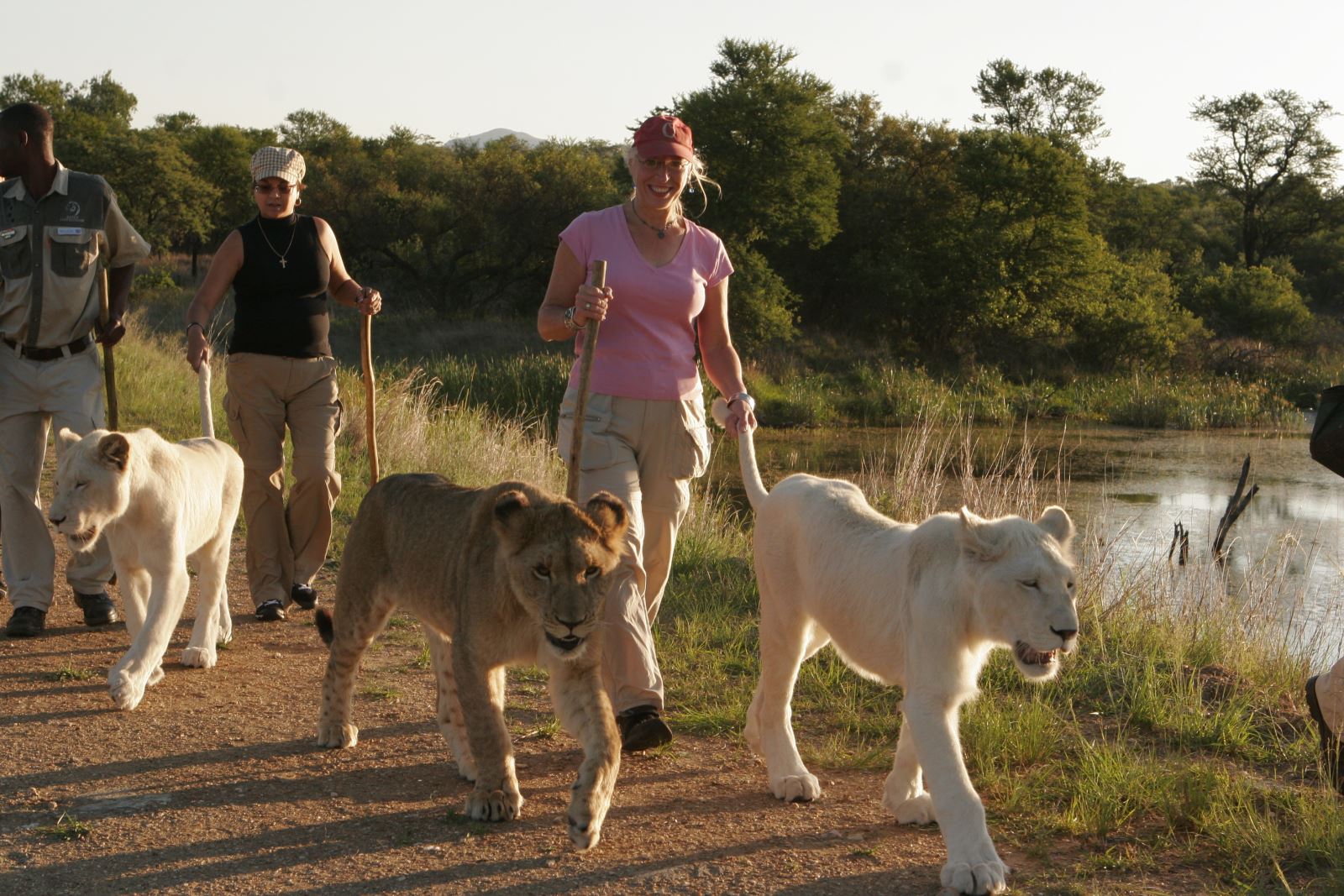 limpopo2