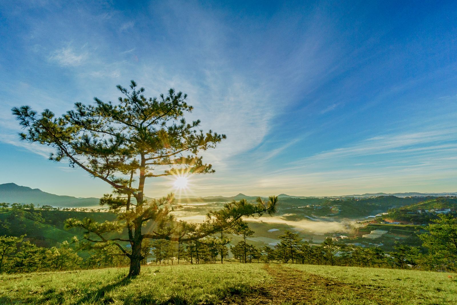 dalat
