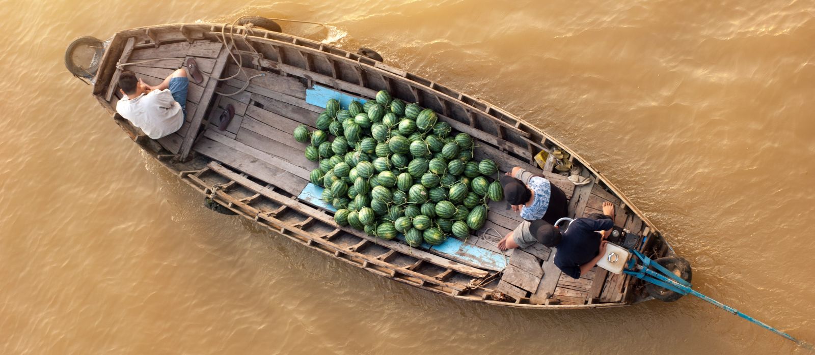 cho noi