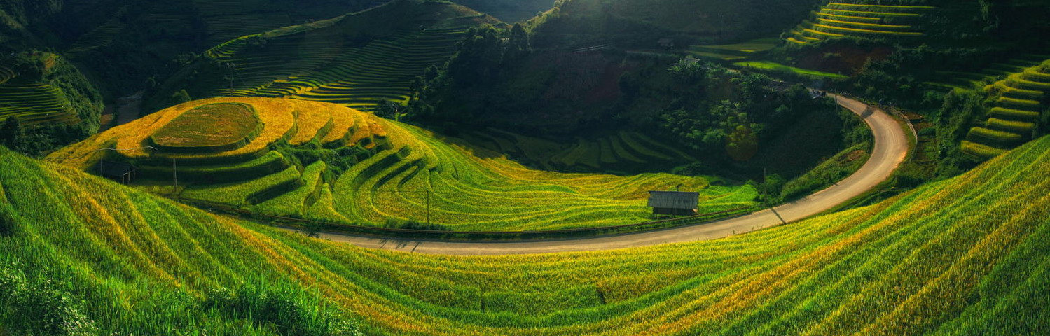 lao cai