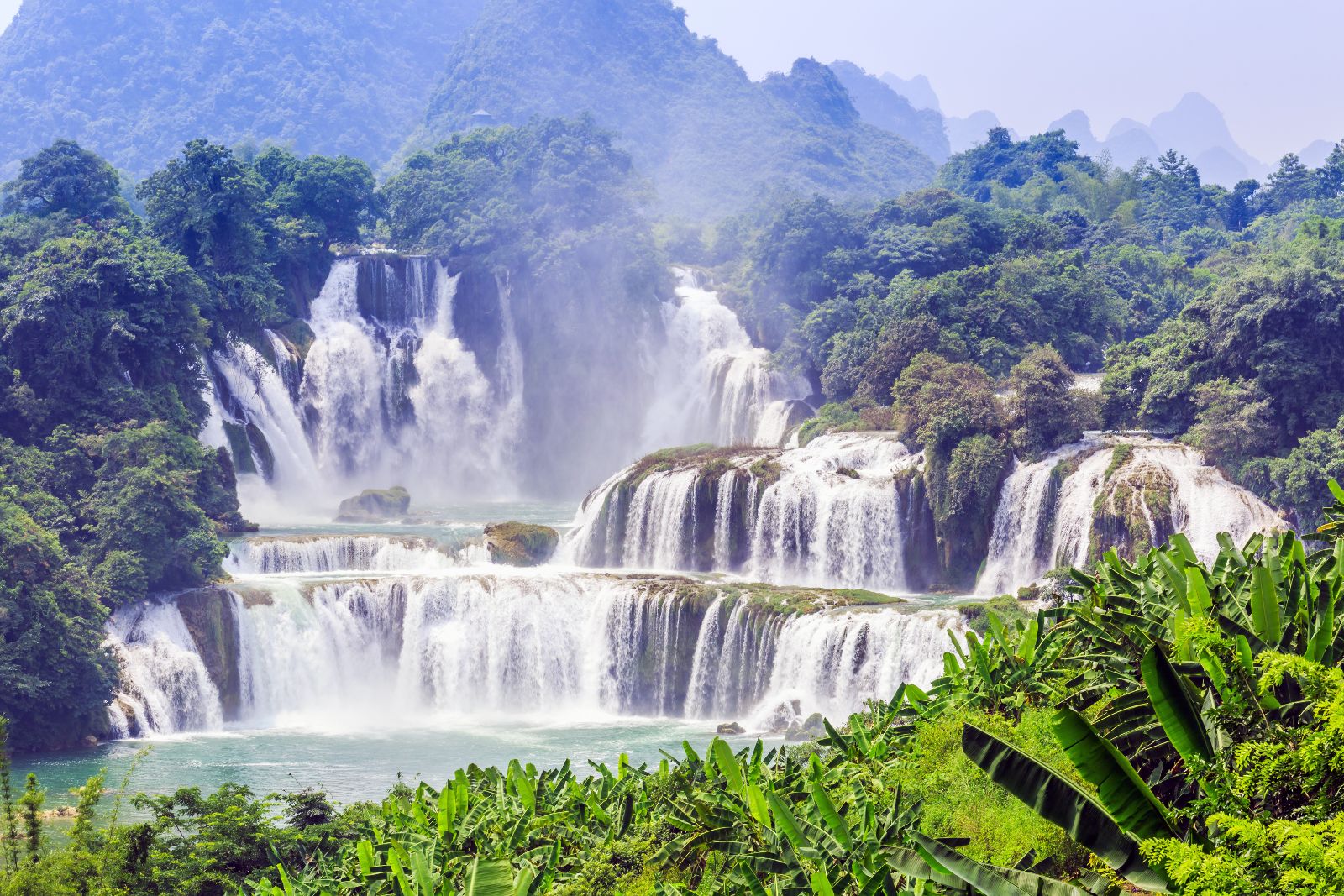 ban giốc